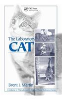 Laboratory Cat