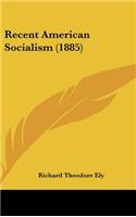 Recent American Socialism (1885)