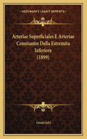Arteriae Superficiales E Arteriae Comitantes Della Estremita Inferiore (1899)