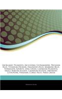Articles on Inorganic Pigments, Including: Ultramarine, Prussian Blue, Titanium Dioxide, Engineer's Blue, Marking Blue, Vermilion, Azurite, Zinc Oxide, Cadmium Pigments, Smalt, Barium Sulfate(English)