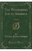 The Wandering Jew in America: A Novel (Classic Reprint): A Novel (Classic Reprint)