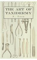 The Art of Taxidermy: (English)