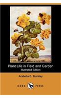 Plant Life in Field and Garden (Illustrated Edition) (Dodo Press)
