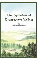 Splendor of Brasstown Valley