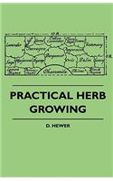 Practical Herb Growing