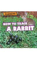 How to Track a Rabbit
