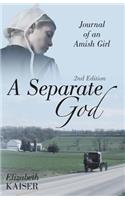 Separate God: Journal of an Amish Girl
