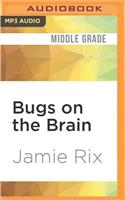 Bugs on the Brain