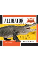Alligator: Master of Might