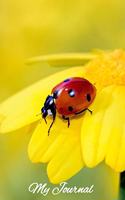 My Journal: Ladybug Design - A 6 x 9 100 page journal to record all of the amazing things that happen in your life.