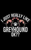 I Just Really Like Greyhound Ok?