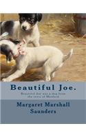 Beautiful Joe.: Beautiful Joe was a dog from the town of Meaford