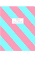 2019 Planner: Monthly Planner for January - December 2019 for Notes Appointments and Scheduling Candy Blue and Pink Diagonal Stripe