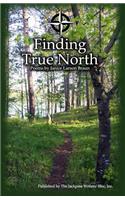 Finding True North