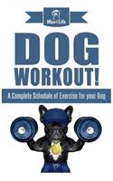 Dog Workout!