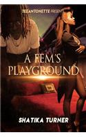 A Fem's Playground: A Revised Standalone