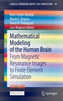 Mathematical Modeling of the Human Brain