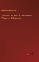 Pampas and Andes. A Thousand Miles' Walk Across South America