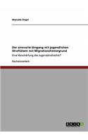 sinnvolle Umgang mit jugendlichen Straftätern mit Migrationshintergrund