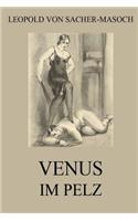 Venus im Pelz