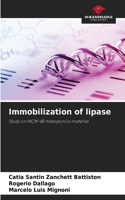 Immobilization of lipase