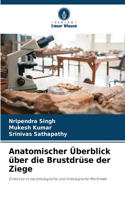 Anatomischer Überblick über die Brustdrüse der Ziege