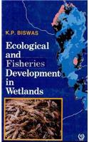 Ecological and Fishery Development in the Wetlands