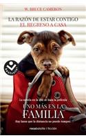 Razon de Estar Contigo, La. El Regreso a Casa