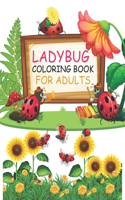 Ladybug Coloring Book For Adults