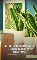 37 Little Indoor Plants to Bring Beauty Into Your Home
