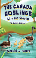 Canada Goslings