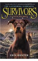 Survivors: The Gathering Darkness #1: A Pack Divided