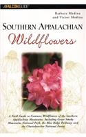 Southern Appalachian Wildflowers