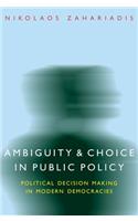 Ambiguity and Choice in Public Policy