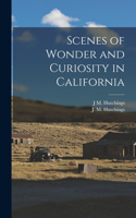 Scenes of Wonder and Curiosity in California