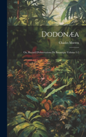 Dodonæa