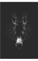 Donkey Head
