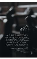 Brief History of International Criminal Law and International Criminal Court