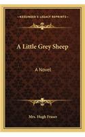 Little Grey Sheep