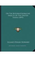 On The Bothriothoracine Insects Of The United States (1895)
