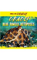 Deadly Blue-Ringed Octopuses