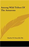 Among Wild Tribes Of The Amazons