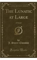 The Lunatic at Large: A Novel (Classic Reprint)