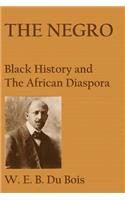 Negro: Black History and the African Diaspora