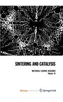 Sintering and Catalysis