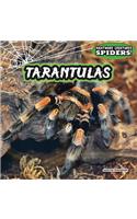 Tarantulas