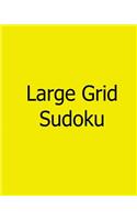 Large Grid Sudoku