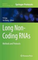 Long Non-Coding Rnas: Methods and Protocols