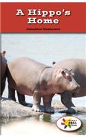 Hippo's Home