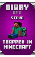 Minecraft Diary of a Minecraft Steve Trapped in Minecraft